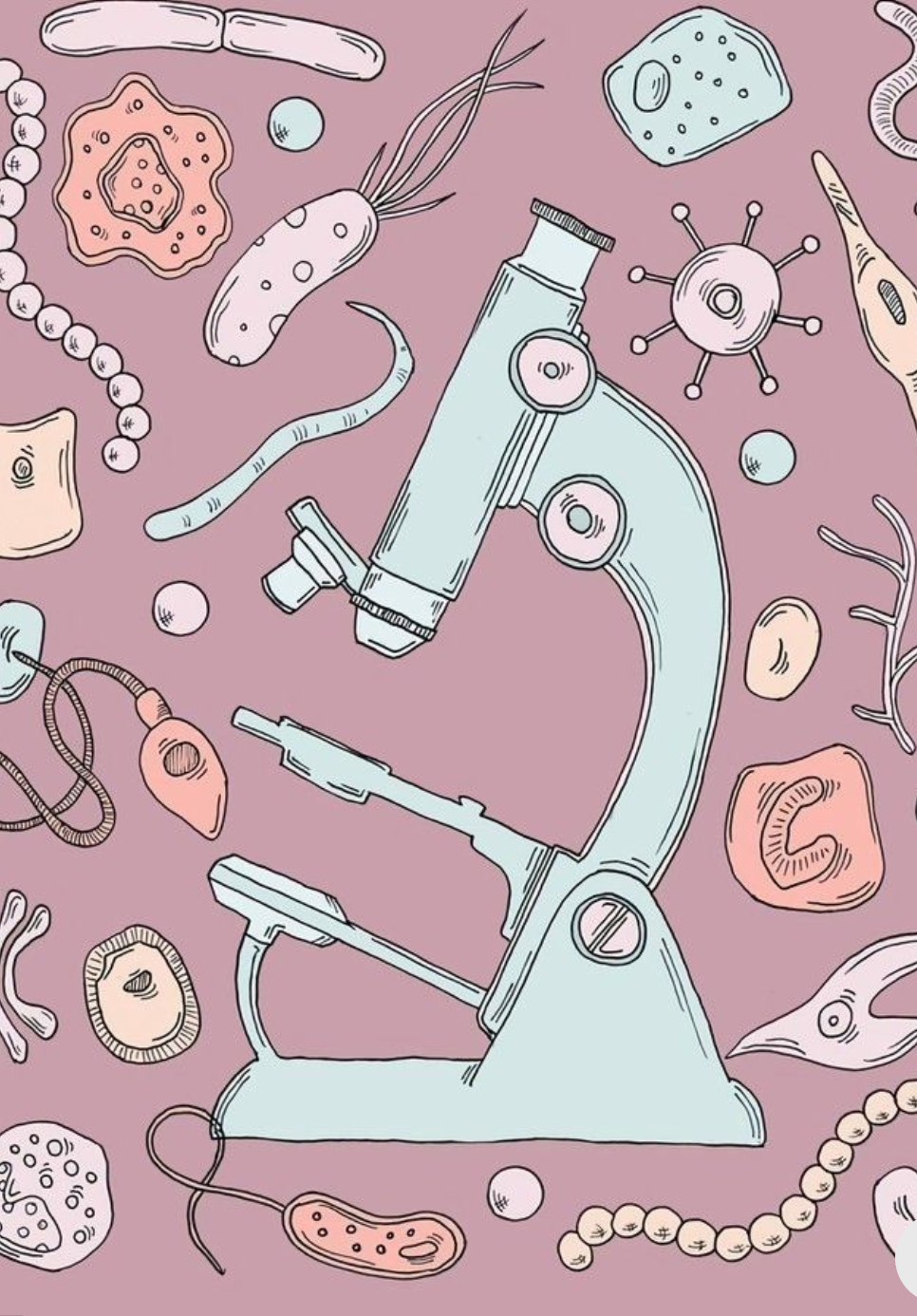 Parásitos y candidiasis intestinal